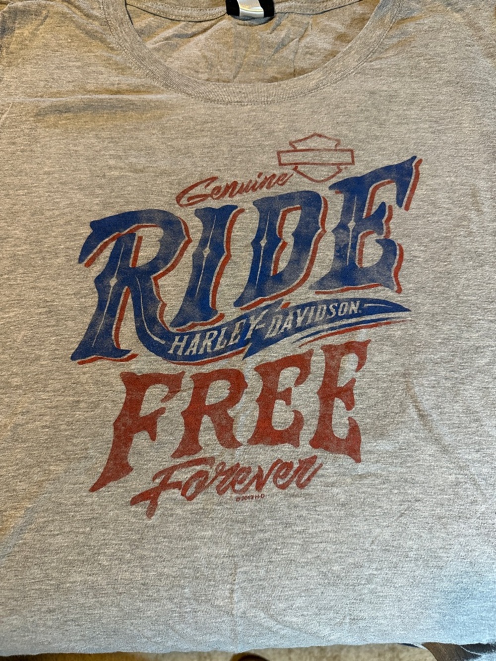 Harley-Davidson Blue and Red "Ride Free Forever" Graphic Tee